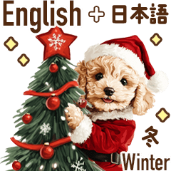 [LINEスタンプ] 冬☆トイプードルの英語(日本語付き)