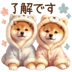 [LINEスタンプ] 喜怒哀楽の激しい柴犬♡パステルカラー