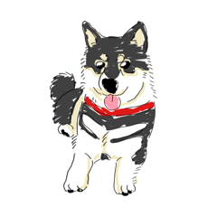 [LINEスタンプ] 黒柴犬いぬ