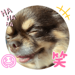 [LINEスタンプ] こぴぴん♡の画像（メイン）