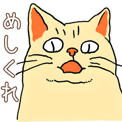 [LINEスタンプ] 日常で使える！かわいいネコたち