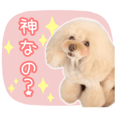 [LINEスタンプ] Mちゃんスタンプ♡♡