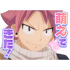 [LINEスタンプ] TVアニメ「FAIRY TAIL 100年クエスト」