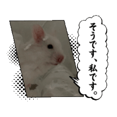 [LINEスタンプ] ウコの日常2