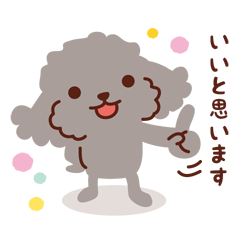 [LINEスタンプ] トイプードル色々_ いろいろ使えるスタンプ