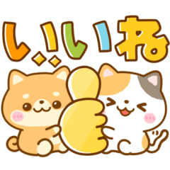 [LINEスタンプ] 仲良し猫と柴犬♡バラエティmix