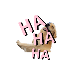 [LINEスタンプ] パドパド時々なぴお