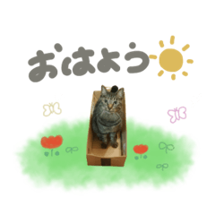 [LINEスタンプ] ♡sae様 2