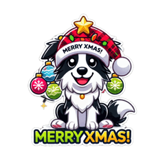 [LINEスタンプ] ボーダーコリー クリスマス 帽子 ららら