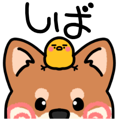 [LINEスタンプ] 柴と柴と柴と柴