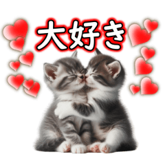 [LINEスタンプ] 毎日使う☆大切な人へのメッセージ♡ネコ猫