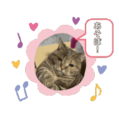 [LINEスタンプ] アニメーション3匹の画像（メイン）