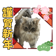[LINEスタンプ] MALUのまったりライフ7