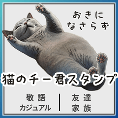 [LINEスタンプ] シャルトリュー | グレー猫のチー君 改訂版