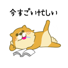 [LINEスタンプ] ポメラニアン チューイ06