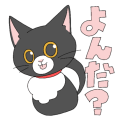 [LINEスタンプ] ヒナタとネコの日常会話