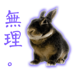 [LINEスタンプ] うさぎのけんじぃー2