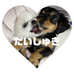 [LINEスタンプ] SHIMA UNI STAMP