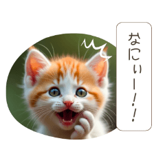 [LINEスタンプ] ももりんこ にゃんこスタンプ5の画像（メイン）