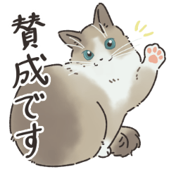 [LINEスタンプ] ラグドール猫のふだん使いスタンプ2