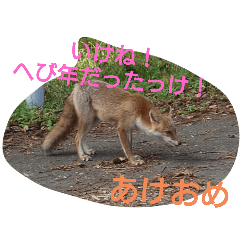 [LINEスタンプ] 新年あいさつ2025