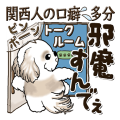 [LINEスタンプ] シーズー犬2024 『関西の人の口癖』(多分)