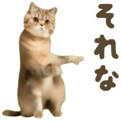 [LINEスタンプ] 踊る♪ダンス猫