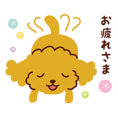 [LINEスタンプ] トイプードル _ いつでも使えるスタンプ