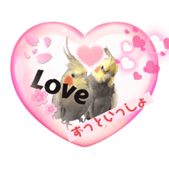 [LINEスタンプ] オカメインコ2《日常の会話＆クリスマス》