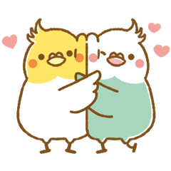 [LINEスタンプ] 文字無しシンプル☆かわいいオカメインコ10