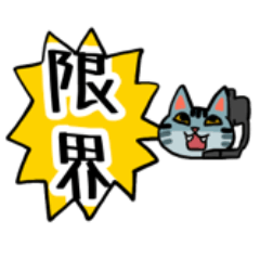 [LINEスタンプ] コールセンターのねこ