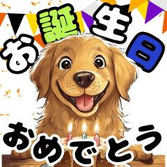 [LINEスタンプ] お祝いする可愛いゴールデンレトリバー