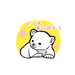 [LINEスタンプ] まるぷちシロクマちゃん。