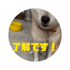 [LINEスタンプ] うごくりょくのスタンプ