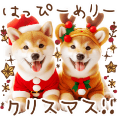 [LINEスタンプ] 柴犬の年末年始♡挨拶♡メリクリ♡あけおめ