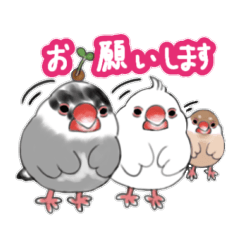 [LINEスタンプ] ぽってり文鳥の日常スタンプ