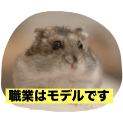 [LINEスタンプ] こてつメモリアル1