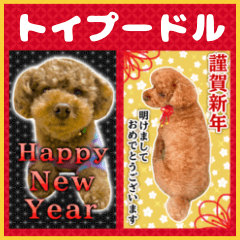 [LINEスタンプ] トイプードル新年のご挨拶