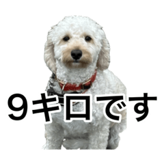 [LINEスタンプ] HIME〜ひめ〜