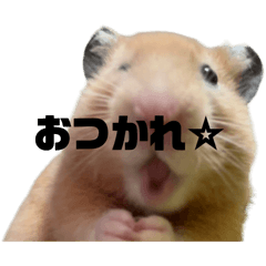 [LINEスタンプ] キンクマ八兵衛