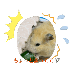 [LINEスタンプ] がんばれタピオカの画像（メイン）