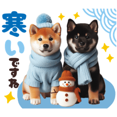 [LINEスタンプ] 冬を感じる♡柴犬＆黒柴