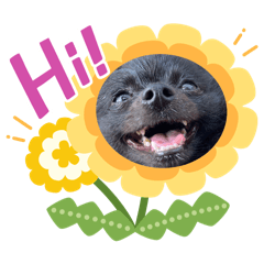 [LINEスタンプ] のわみるくvol.4