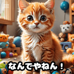 [LINEスタンプ] 関西弁で話す かわいい子猫