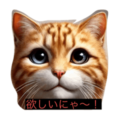 [LINEスタンプ] ねこの微妙なスタンプ