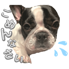 [LINEスタンプ] rukijirusi