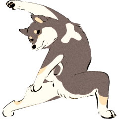 [LINEスタンプ] ヨガを嗜む柴犬さん3（文字なし）