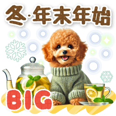 [LINEスタンプ] 冬トイプードルの気づかい敬語【BIG】