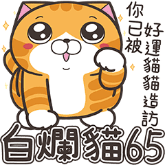 [LINEスタンプ] ランラン猫 65 (台湾版)