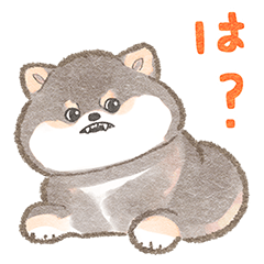 [LINEスタンプ] 黒柴さんの反抗期